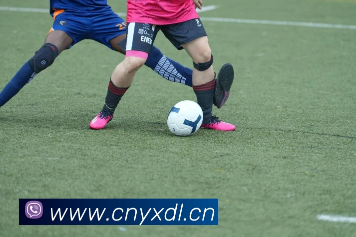 ku酷游平台 - 酷游在线登录 - ku酷游游戏官网平台生态图